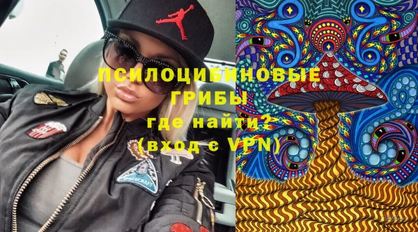 стафф Касимов