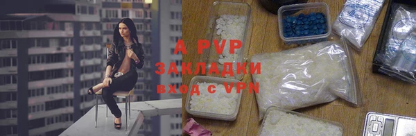 стафф Касимов