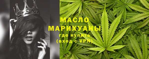 стафф Касимов