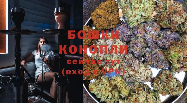 стафф Касимов