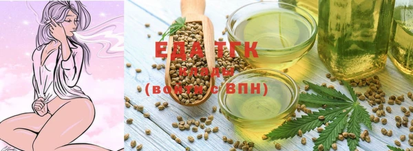 стафф Касимов