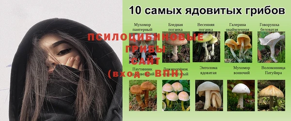 стафф Касимов