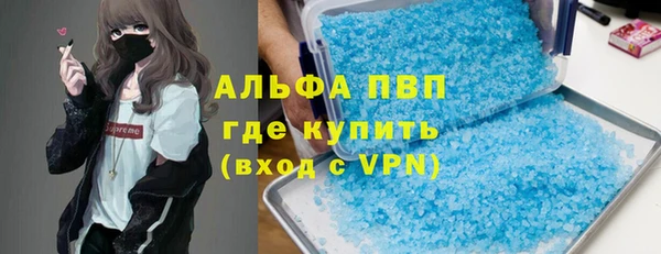 стафф Касимов