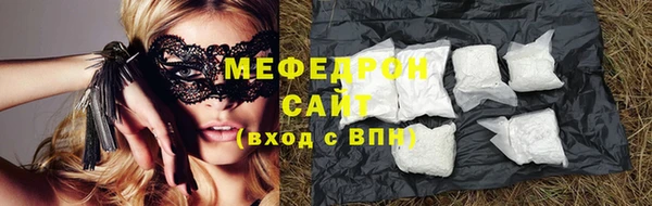 стафф Касимов