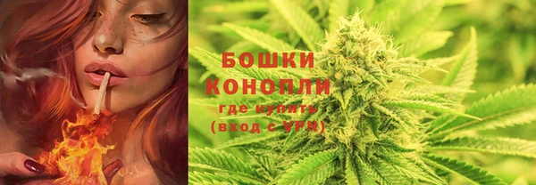 стафф Касимов